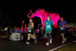 BIB: 
                            <button type="button" onclick="openModal(26544119)" class="btn btn-primary btn-sm float-right btn-popup" data-toggle="modal" data-target=".modal-high-quality">
                        <i class="fas fa-shopping-cart"></i> Add to Cart
                    </button>
                                            <button type="button" onclick="isThisMe(26544119, true)" class="btn btn-success btn-sm float-right btn-popup btn-isme hidden" data-toggle="tooltip" data-placement="bottom" title="นี่คือรูปของคุณใช่ไหม คลิกที่นี่เพื่อเอาเข้าอัลบั้ม">
                        <i class="fas fa-plus"></i> Add to album
                    </button>
                    <button type="button" onclick="isThisMe(26544119, false)" class="btn btn-warning btn-sm float-right btn-popup btn-isnotme hidden">
                        <i class="fas fa-ban"></i> Remove from album
                    </button>